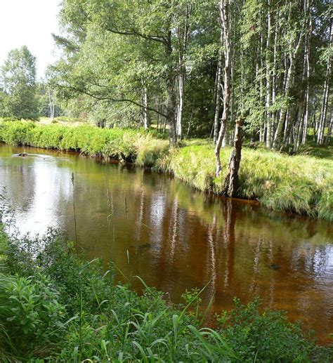 The historical region of moldavia. Die Moldau