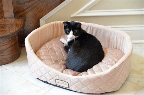 Armarkat Oval Cuddle Nest Round Cat Bed Light Apricot
