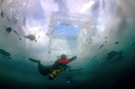 See The World As Seals Do With A Dive Under Lake Baikals Ice Photos