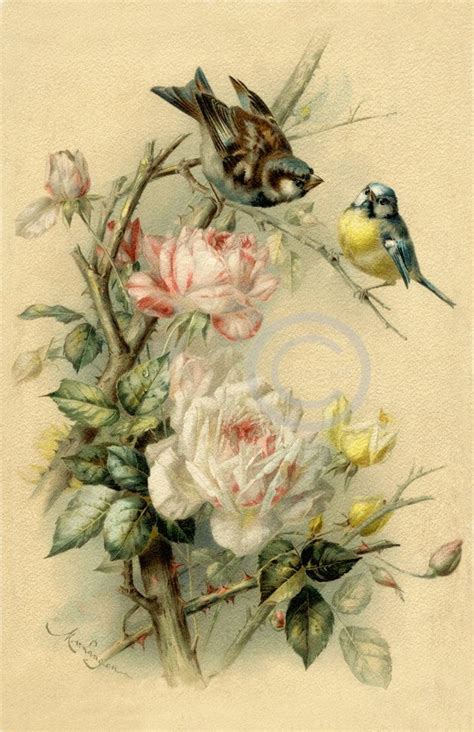Victorian Birds Print Vintage Pink Tea Roses Garden Fence Flowers