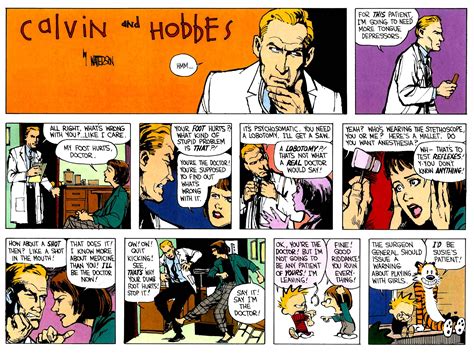Calvin And Hobbes Grown Up Cant Take Credit For The Amazing Art R