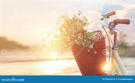 Vintage Bicycle With Flowers In The Basket On Summer Sunset Stock Photo