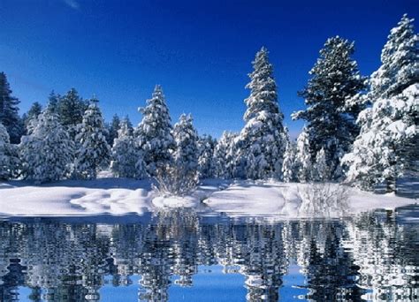 Find the newest in reaction gifs, emotion gifs, action gifs and more. Free Animated Snow Scene Wallpaper - WallpaperSafari