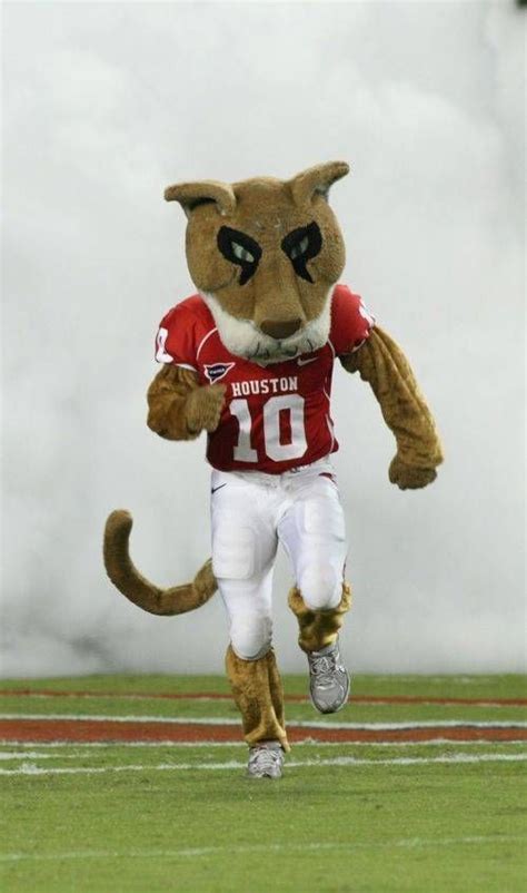Houston Cougars Mascot Shasta College Football Mascots