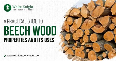 A Practical Guide To Beech Wood Properties And Its Uses