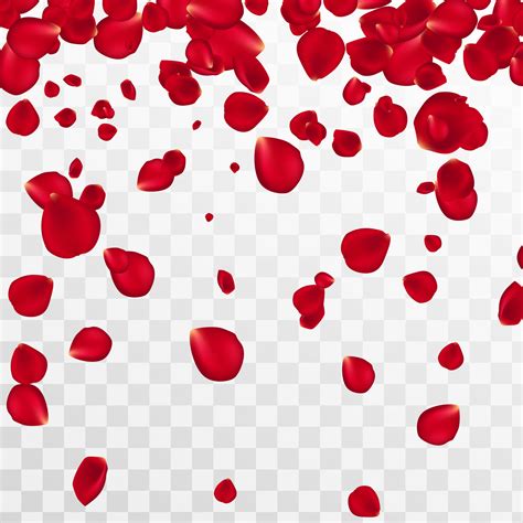 Abstract Background With Flying Red Rose Petals On A White Transparent