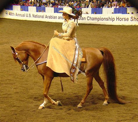 Pin On Side Saddle Outfits