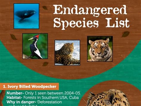 Worlds Top 10 Endangered Species List General Knowledge For Kids