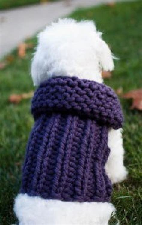See more ideas about loom knitting, loom knitting patterns, knitting. 7 Knitting Patterns For Your Pet - Knitting
