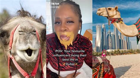 Dubai Porta Potty Celebs Influencers Paid For Camels To Poop On Details