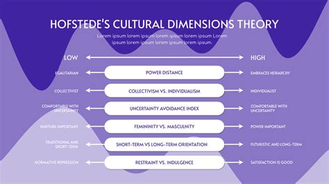 Hofstede Cultural Dimensions Book