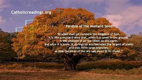 Parable Of The Mustard Seed Mark 430 32 Matthew 1331 35 Luke 1318 21 Bible Verse Of The Day