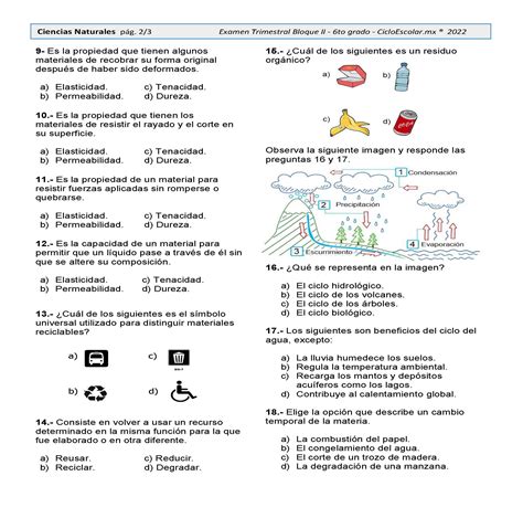 Examen Trimestral Tercer Grado Bloque Theneave Reverasite