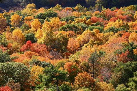 Best Hiking Trails In Ct For Fall Foliage New England Today
