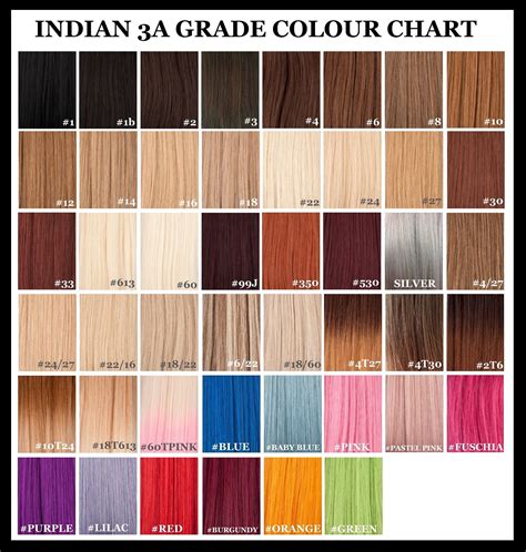 Pin By Pennykristian On Hair Extensions Hair Color Chart Remy Hair