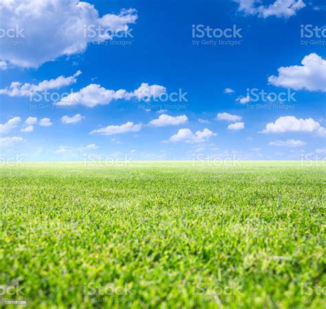 Classic Beautiful Landscape Green Surface Of Beautiful Natural Grassy