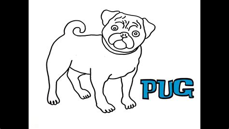 Easy Pug Drawing At Getdrawings Free Download