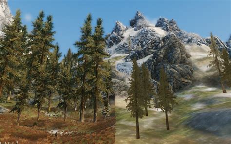 Skysight Simply Bigger Trees At Skyrim Nexus Mods And Community