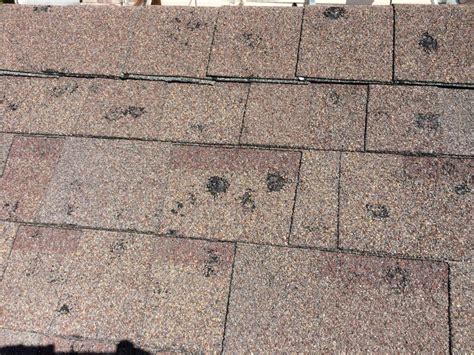Expert Guide On Roof Hail Damage Protection And Repair Roofguides