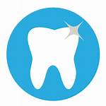 Dental Tooth Icon Dentist Clean Icons 512px