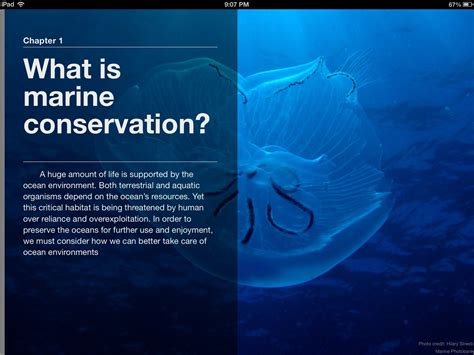 Students Create Multimedia Ocean Conservation Text Research Blog