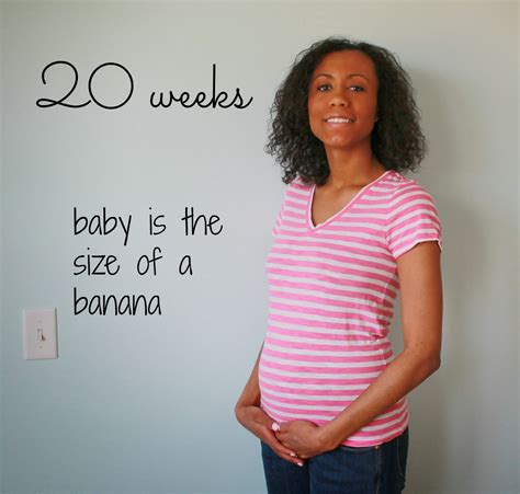 Pregnancy Update 20 Weeks G Squared