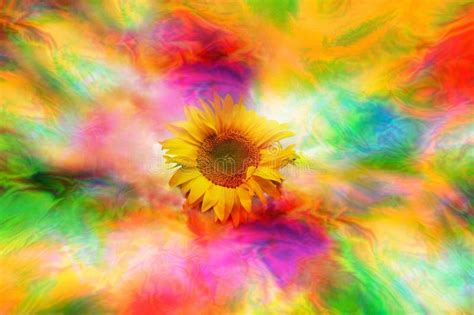 Psychedelic Sunflower Stock Image Image Of Psychedelic 43998251
