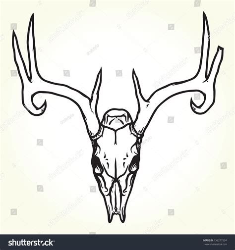 Deer Skull Vector Stock Vector Royalty Free 136277534 Shutterstock