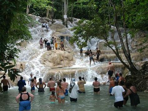 tour jamaica today ocho ríos 2022 lo que se debe saber antes de viajar tripadvisor