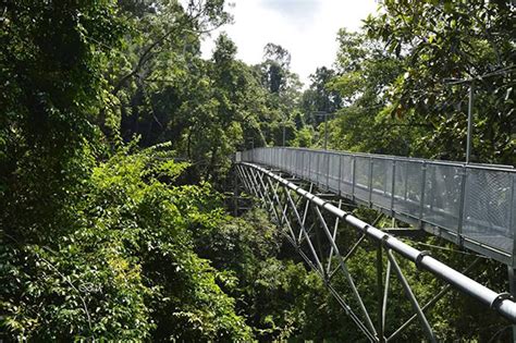 The tree top walk is open daily from 9am to 5.30pm, weather permitting. cetakniaga - Page 13 - Cetak Kalendar Murah 2021