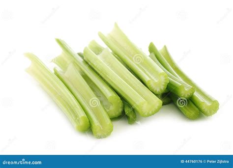 Fresh Celery Stems Stock Photo Image Of Healthy Tasty 44760176