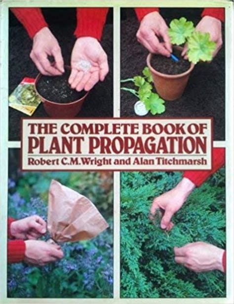 Only take cuttings from healthy fuchsia plants. Gardening for Beginners: 7 Easy Steps to Taking Cuttings ...