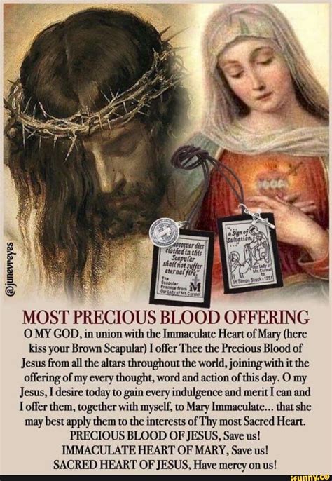 Most Precious Blood Offering O My God In Union With The Immaculate