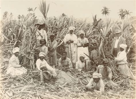 Workers Take A Break On A Jamaican Sugar Plantation 19th Century
