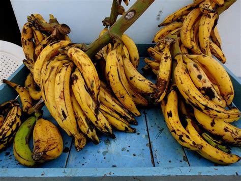 Os Tipos De Banana E Seus Benefícios