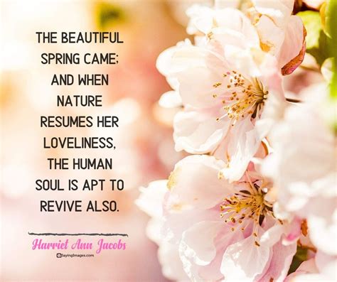 30 Spring Quotes To Make Your Coronary Heart Blossom In 2020 Spring