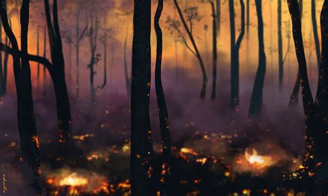 Forest Fire By A Hippocampus On Deviantart