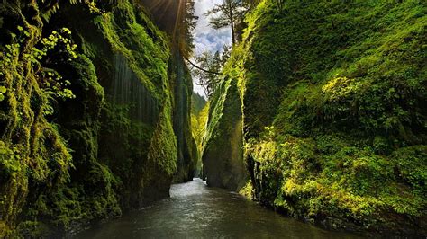 Hd Wallpaper River Cliff Green Moss Rock Sunlight Nature Water
