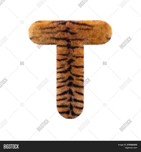 Tiger Letter T Image Photo Free Trial Bigstock