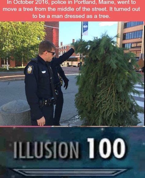 Illusion 100 Lol Skyrim Funny Funny Memes Fun Facts
