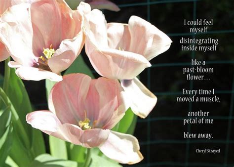 Check spelling or type a new query. 78+ images about tulip quotes on Pinterest | Pink tulips, Rumi quotes and Freebies printable