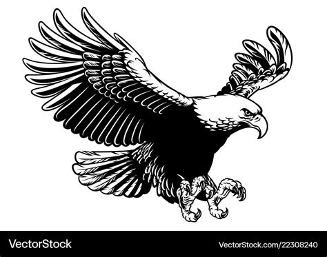 Flying Eagle Spread The Wings Royalty Free Vector Image