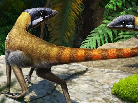 Triassic Specimen Identified As Pterosaur Ancestor Century After Discovery Science News