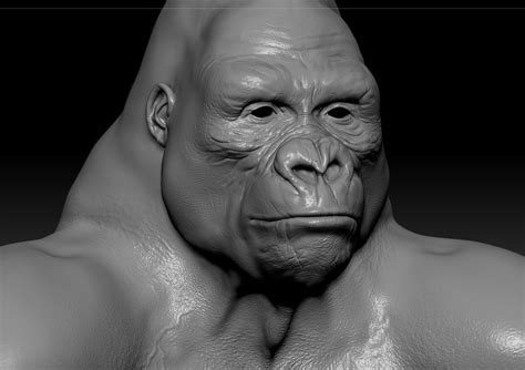 Gorilla 3d Model Rigged And Animated