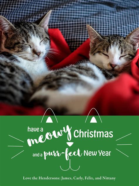Have a Meowy Christmas and Purr-fect New Year Holiday Card - Etsy
