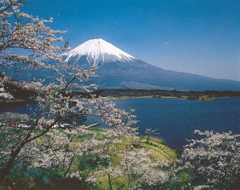 富士山 きれいに観える場所はどこ？色んな角度で富士山を観よう Wow U Japan