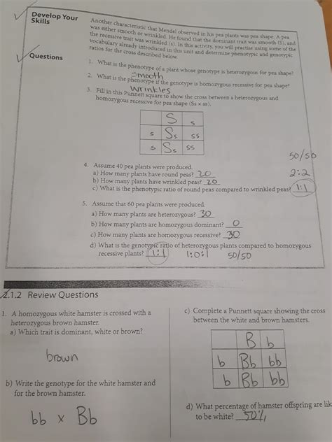 Related posts for 50 genetic mutations worksheet answer key. Myles of Science: Science 10