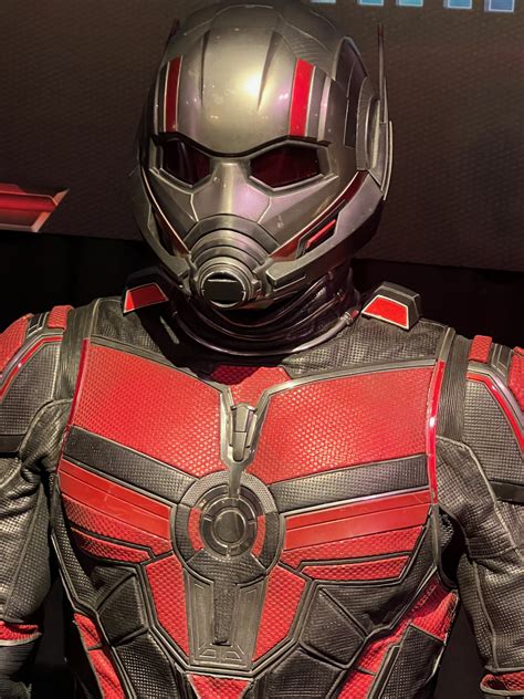 Hollywood Movie Costumes And Props Paul Rudds Costume From Ant Man