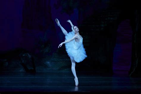 Swan Lake · Russian National Ballet Theatre