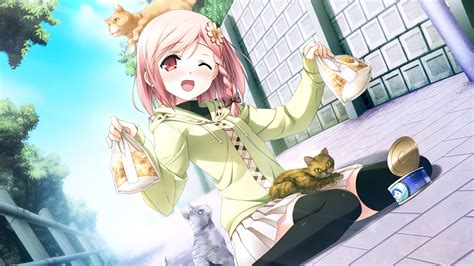 Wallpaper Anime Girl With Cat 1920x1080 Full Hd 2k Picture